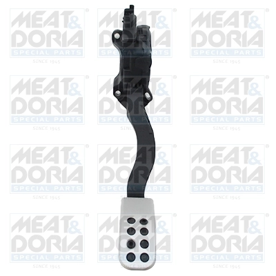 Accelerator Pedal Unit